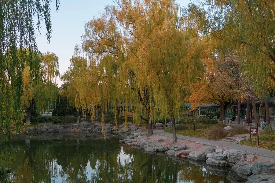 beautiful-gardens-in-jingshan-park-jpeg beautiful-gardens-in-jingshan-park-jpeg