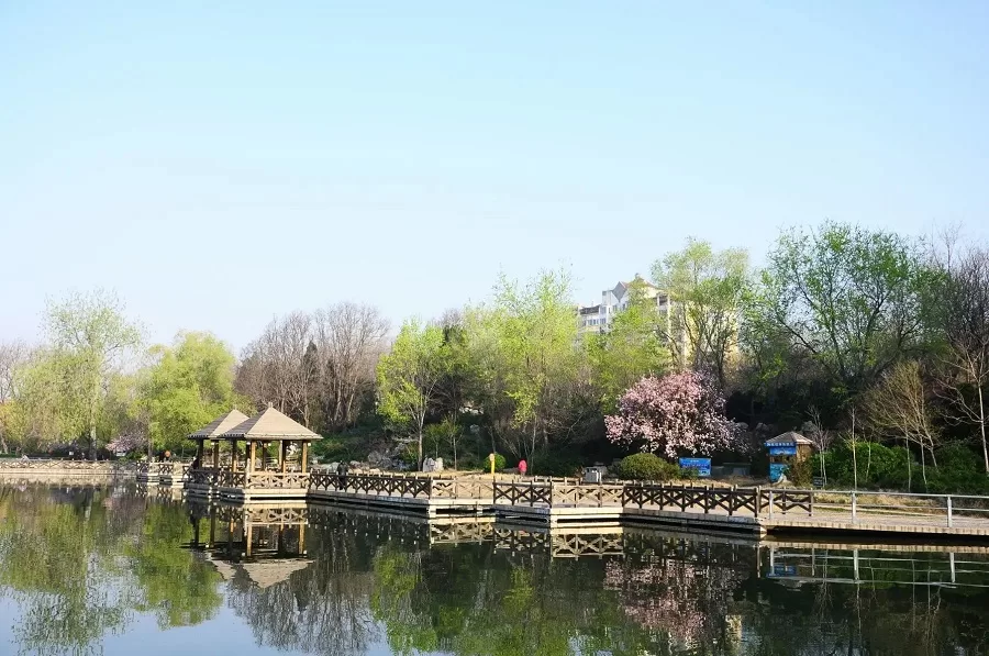 beautiful-landscape-in-peoples-park-chengdu-jpg beautiful-landscape-in-peoples-park-chengdu-jpg