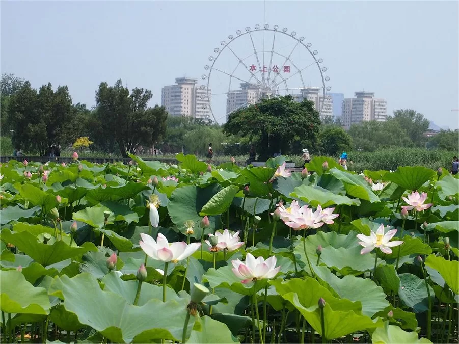 beautiful-landscapes-in-tianjin-water-park-jpg beautiful-landscapes-in-tianjin-water-park-jpg