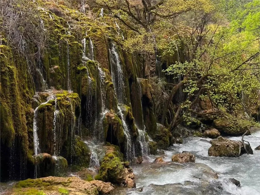 beautiful-trekking-routes-in-niru-village-jpg beautiful-trekking-routes-in-niru-village-jpg