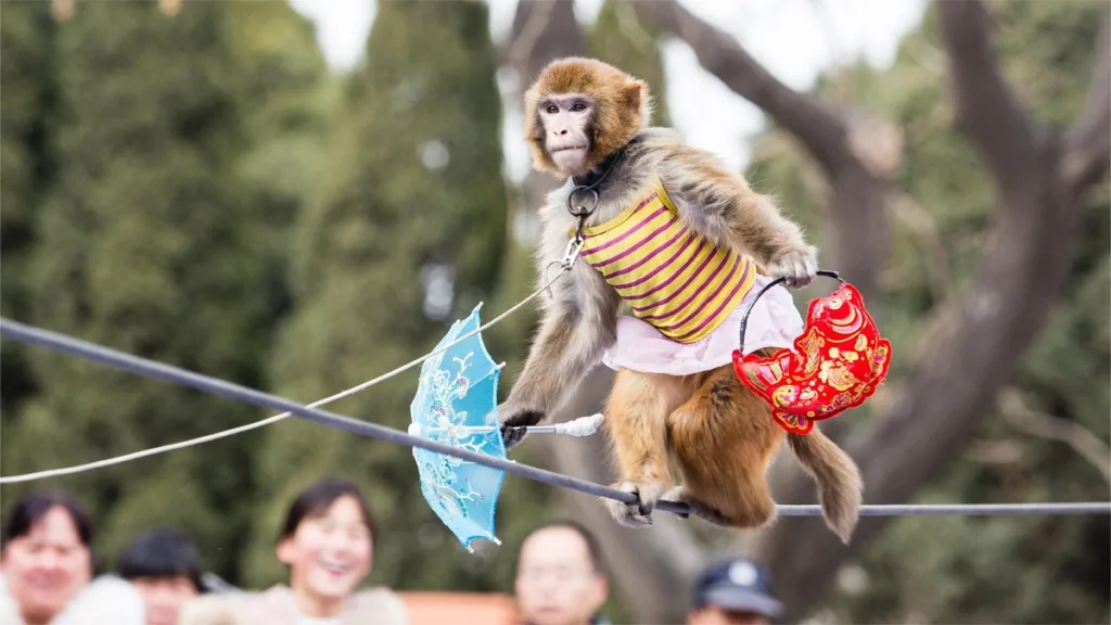bianjing-park-kaifeng-1024x576-5