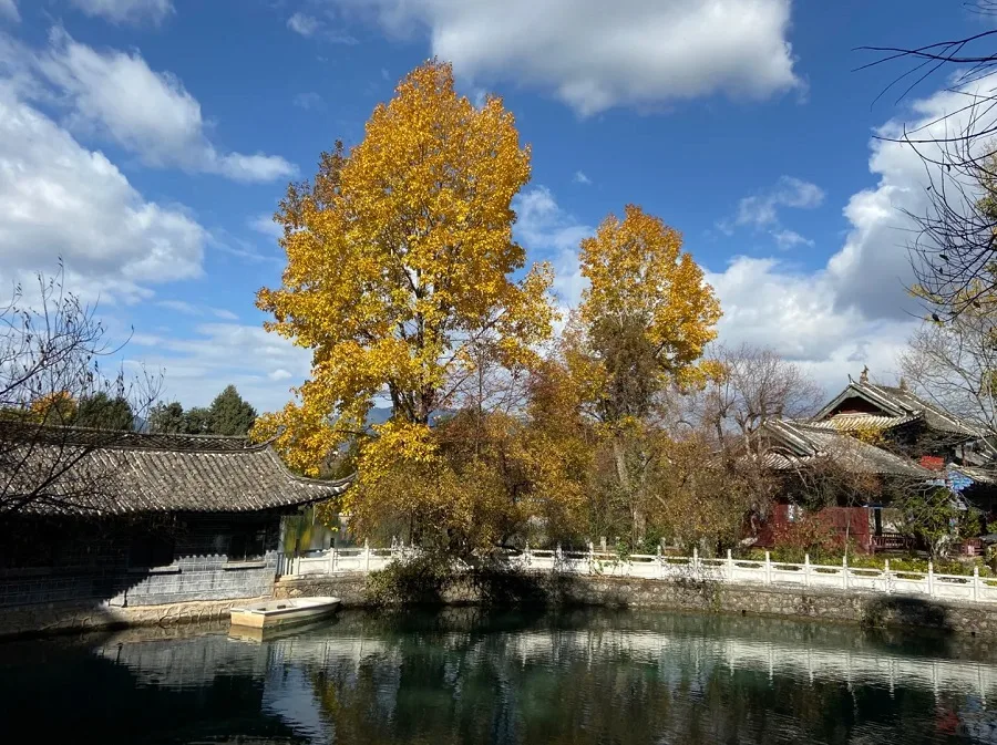 black-dragon-pool-park-lijiang-2-jpg-1 black-dragon-pool-park-lijiang-2-jpg-1