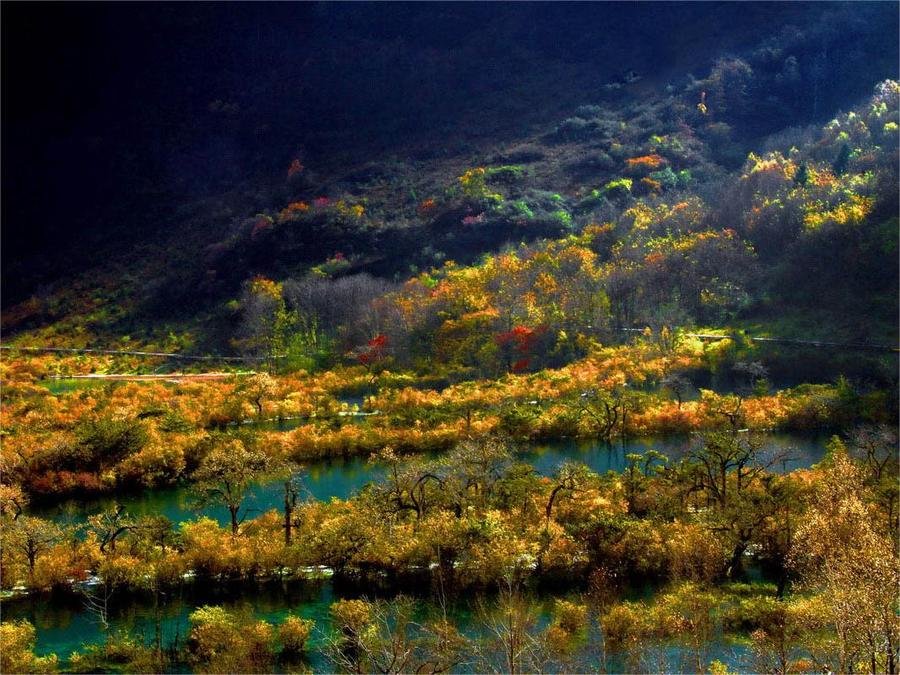 bonsai-shoal-in-jiuzhai-valley bonsai-shoal-in-jiuzhai-valley