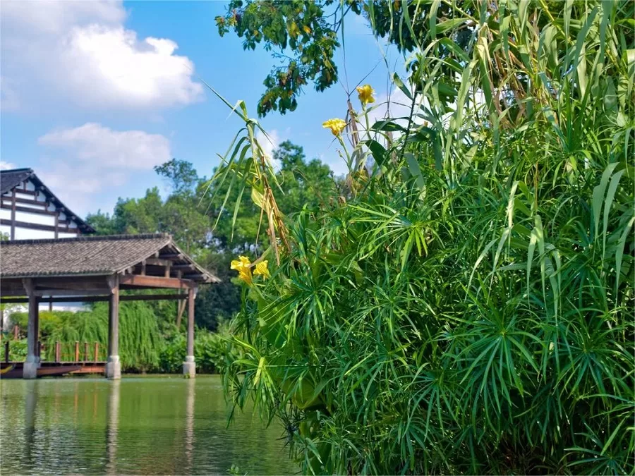 botanical-garden-in-xixi-national-wetland-park-jpg botanical-garden-in-xixi-national-wetland-park-jpg