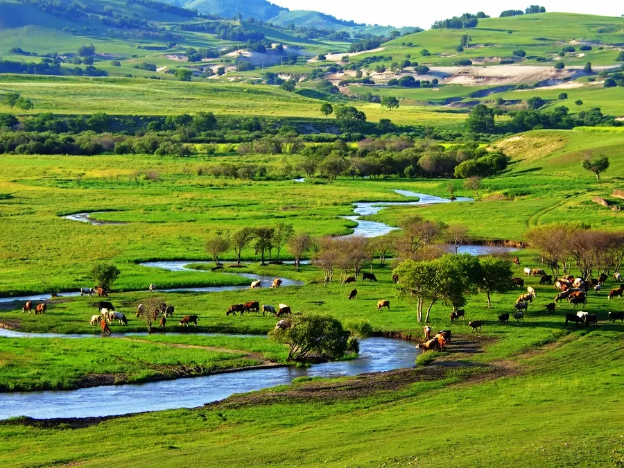 breathtaking-landscapes-in-bashang-grassland-jpg breathtaking-landscapes-in-bashang-grassland-jpg