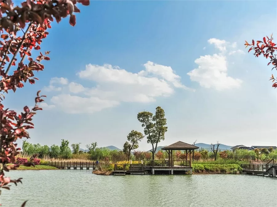breathtaking-scenery-of-taihu-wetland-park-jpg breathtaking-scenery-of-taihu-wetland-park-jpg