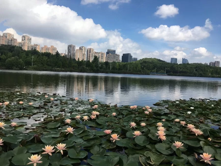 central-plaza-in-guanshanhu-park-jpg central-plaza-in-guanshanhu-park-jpg