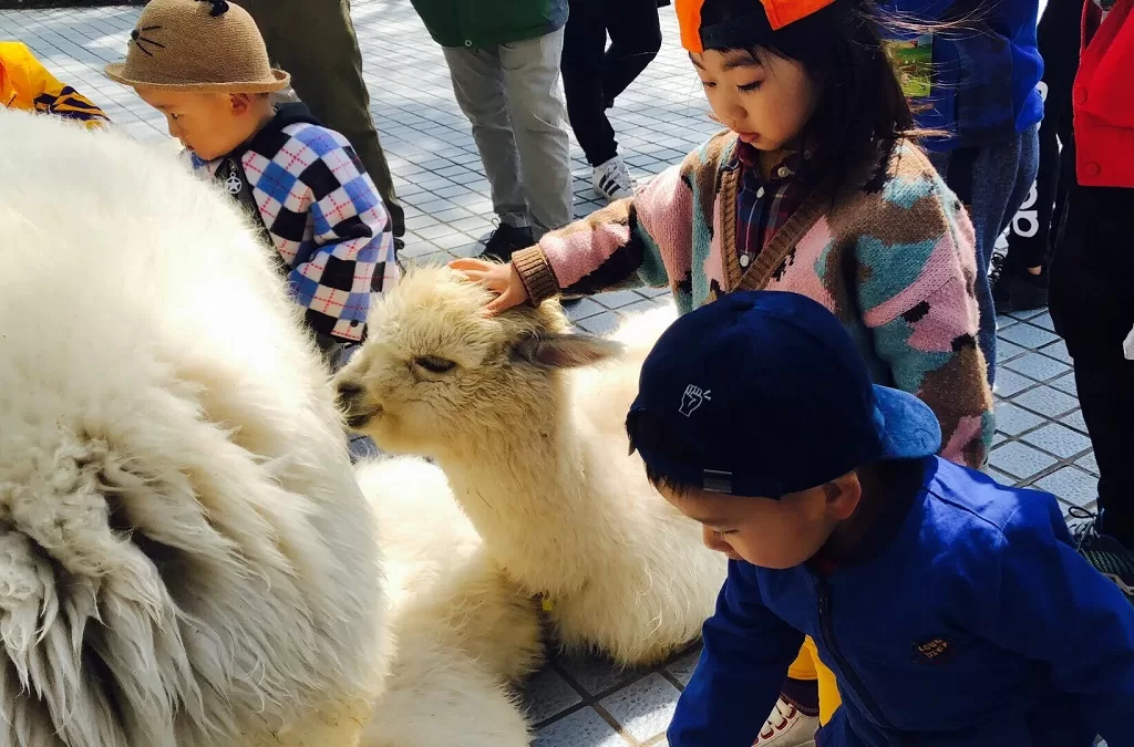 childrens-zoo-in-beijing-zoo-jpg childrens-zoo-in-beijing-zoo-jpg