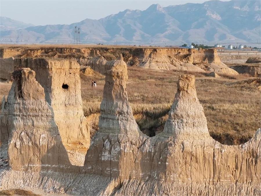 clay-forest-datong-1 clay-forest-datong-1