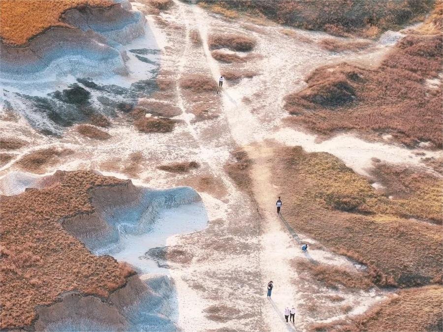 clay-forest-datong-3 clay-forest-datong-3