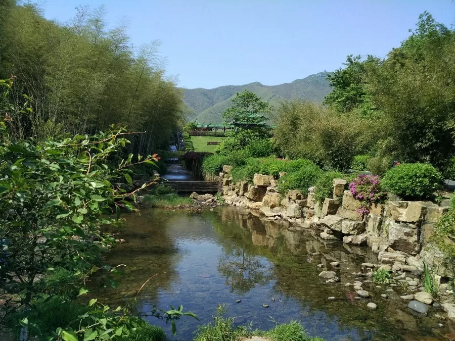 clear-streams-in-yixing-bamboo-forest-jpg clear-streams-in-yixing-bamboo-forest-jpg