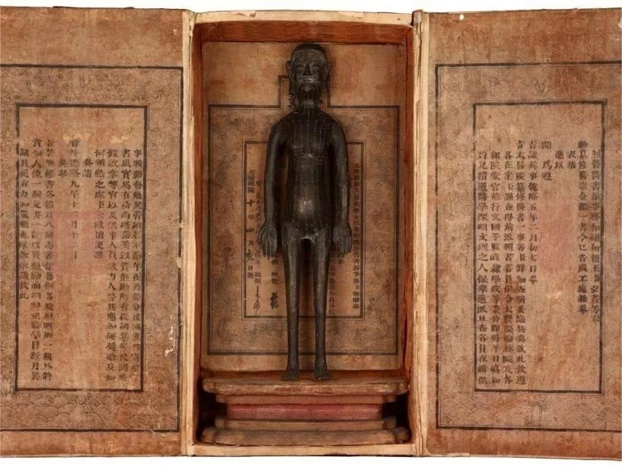 comprehensive-collection-in-shanghai-museum-of-traditional-chinese-medicine-jpeg comprehensive-collection-in-shanghai-museum-of-traditional-chinese-medicine-jpeg