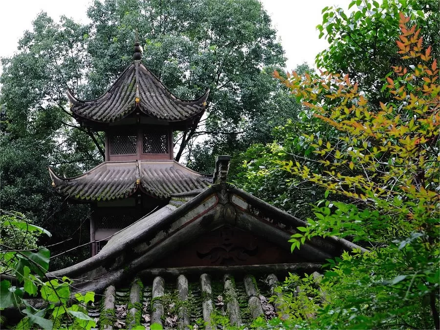 crane-forest-temple-in-nanshan-national-forest-park-jpg crane-forest-temple-in-nanshan-national-forest-park-jpg