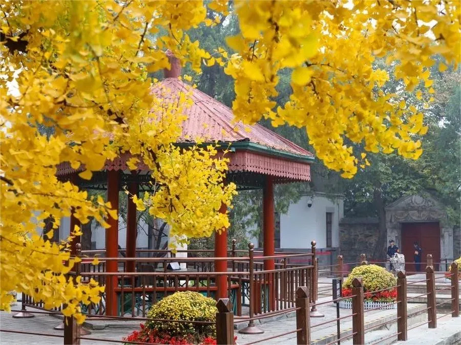 cuiwei-pavilion-in-xiangshan-park-jpg cuiwei-pavilion-in-xiangshan-park-jpg