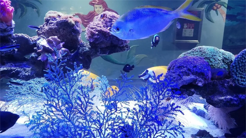 daming-lake-underwater-world-1024x576-8