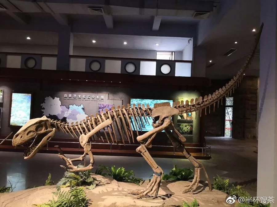 dinosaur-fossil-in-shanghai-natural-history-museum-jpg dinosaur-fossil-in-shanghai-natural-history-museum-jpg