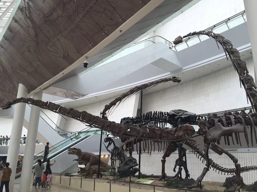 dinosaur-fossils-in-tianjin-natural-history-museum-jpg dinosaur-fossils-in-tianjin-natural-history-museum-jpg
