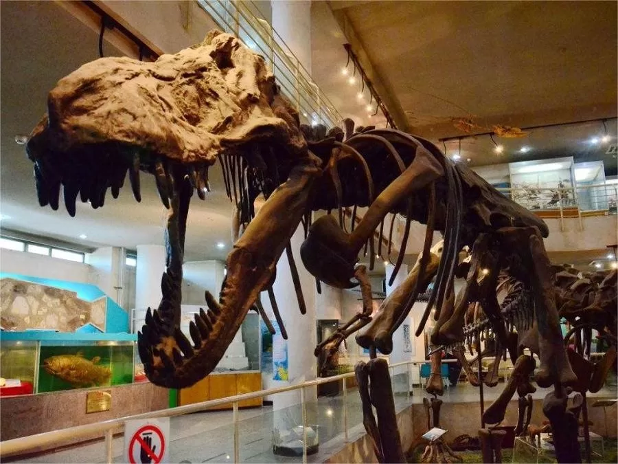 dinosaur-hall-in-beijing-museum-of-natural-history-jpg dinosaur-hall-in-beijing-museum-of-natural-history-jpg