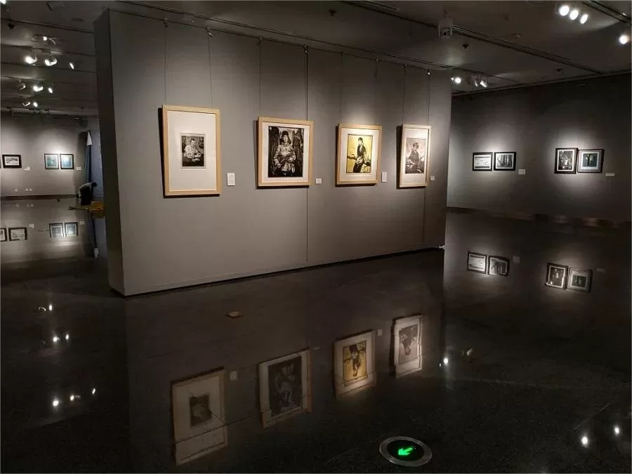 diverse-art-collection-in-sichuan-art-museum-jpg diverse-art-collection-in-sichuan-art-museum-jpg
