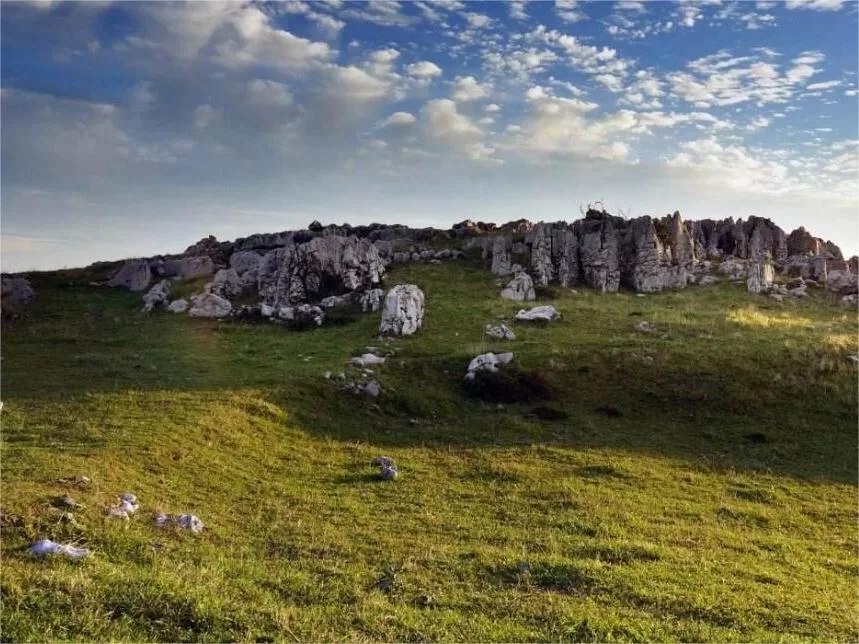 dwarf-stone-forest-in-bailihuang-grassland-jpg dwarf-stone-forest-in-bailihuang-grassland-jpg
