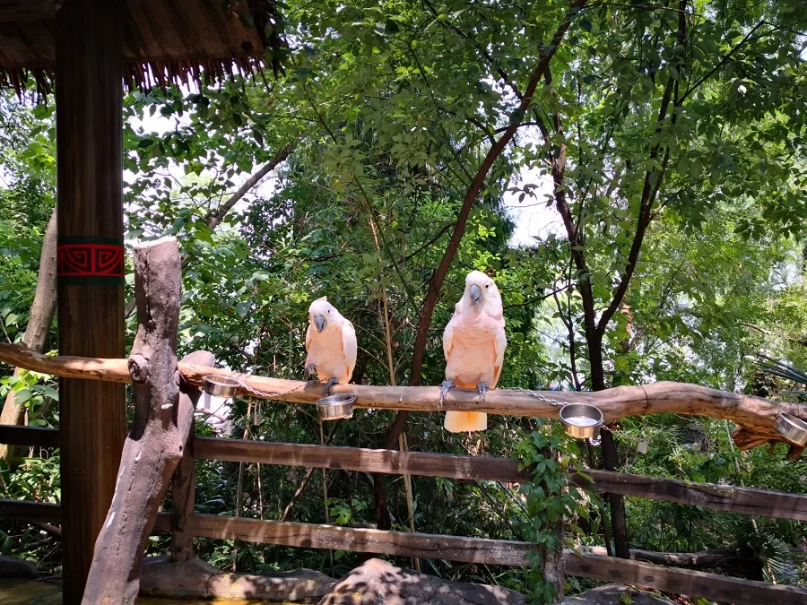 east-lake-bird-world-jpeg east-lake-bird-world-jpeg