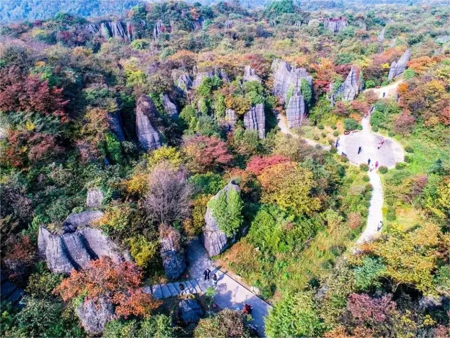 ecological-stone-forest-in-shanwangping-jpg ecological-stone-forest-in-shanwangping-jpg