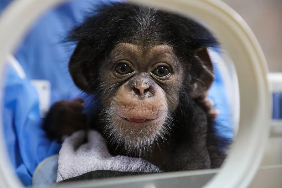 endangered-species-breeding-center-jpg endangered-species-breeding-center-jpg