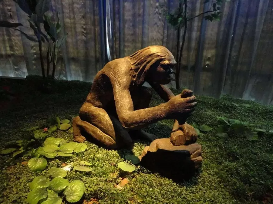 evlolution-and-human-origions-in-tianjin-natural-history-museum-jpg evlolution-and-human-origions-in-tianjin-natural-history-museum-jpg