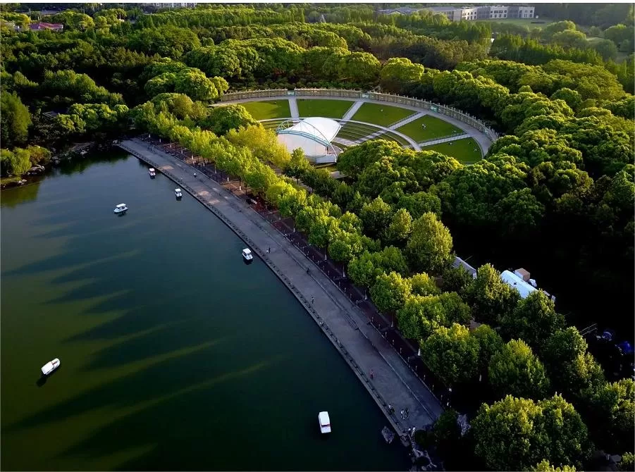 expansive-green-space-in-century-park-shanghai-jpg expansive-green-space-in-century-park-shanghai-jpg