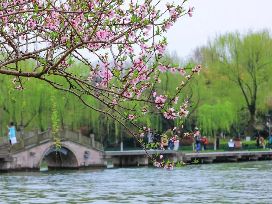fairy-bridge-willows-in-fuzhou-west-lake-park-jpg fairy-bridge-willows-in-fuzhou-west-lake-park-jpg