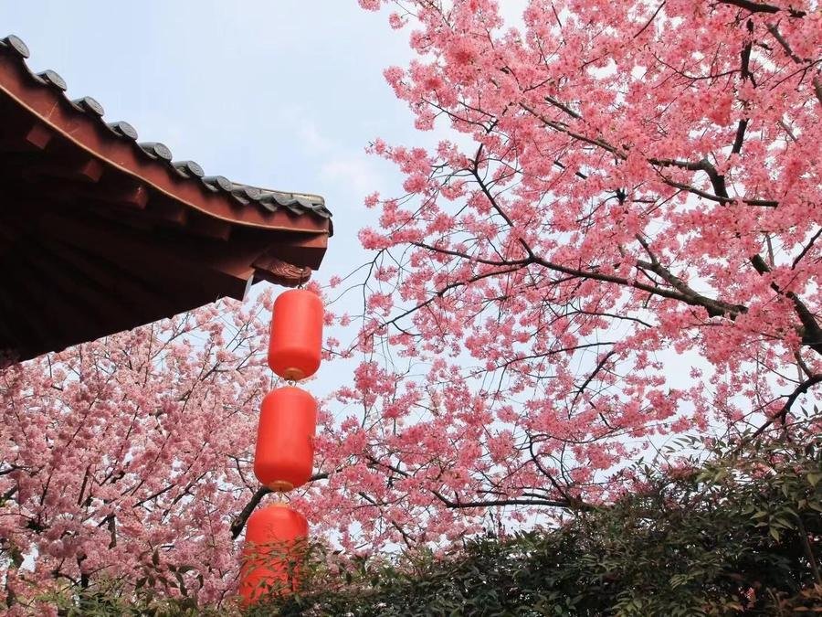 festivals-at-east-lake festivals-at-east-lake