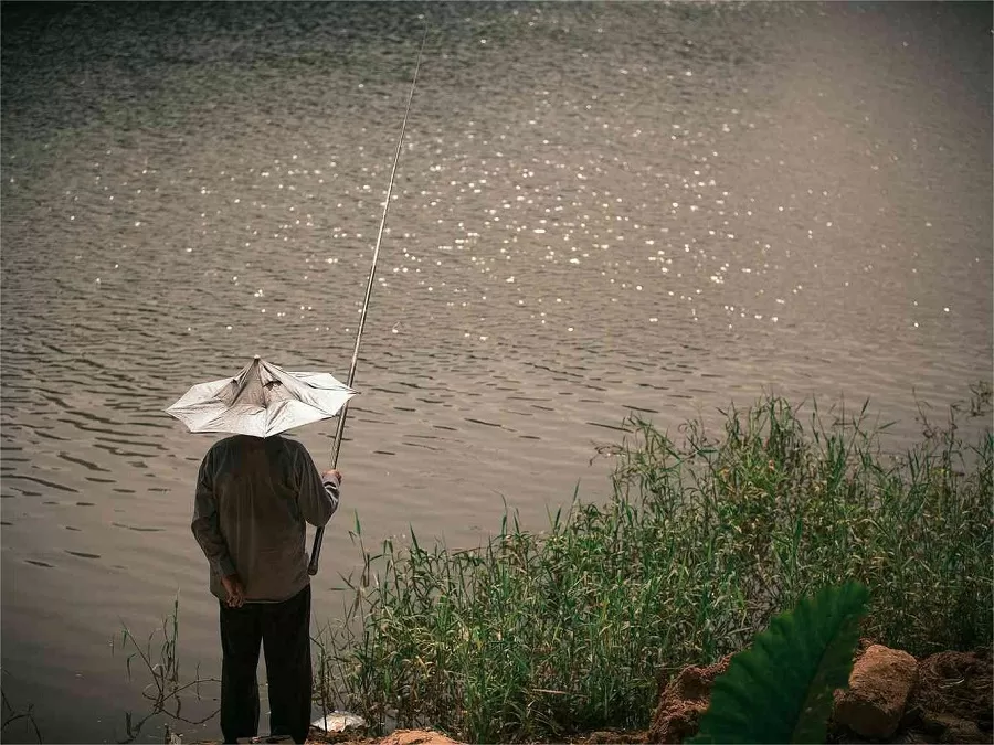 fishing-island-in-taihu-eco-logocial-scenic-area-jpg fishing-island-in-taihu-eco-logocial-scenic-area-jpg