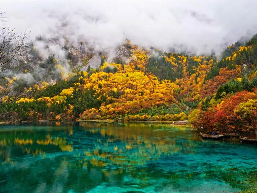 five-flower-lake-in-jiuzhai-valley-jpg five-flower-lake-in-jiuzhai-valley-jpg