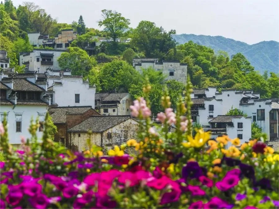 flower-town-of-huangling-village-jpg flower-town-of-huangling-village-jpg