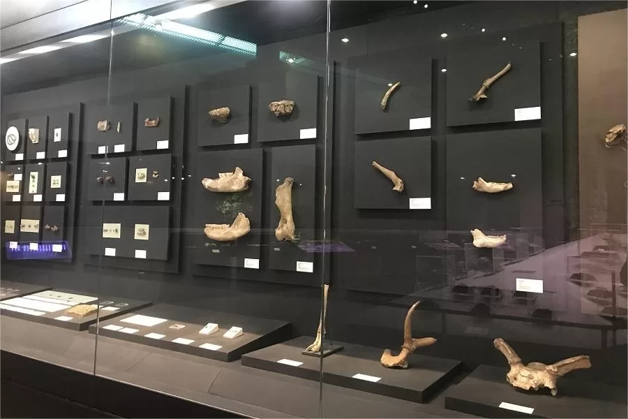fossil-display-hall-in-peking-man-site-at-zhoukoudian-jpg fossil-display-hall-in-peking-man-site-at-zhoukoudian-jpg