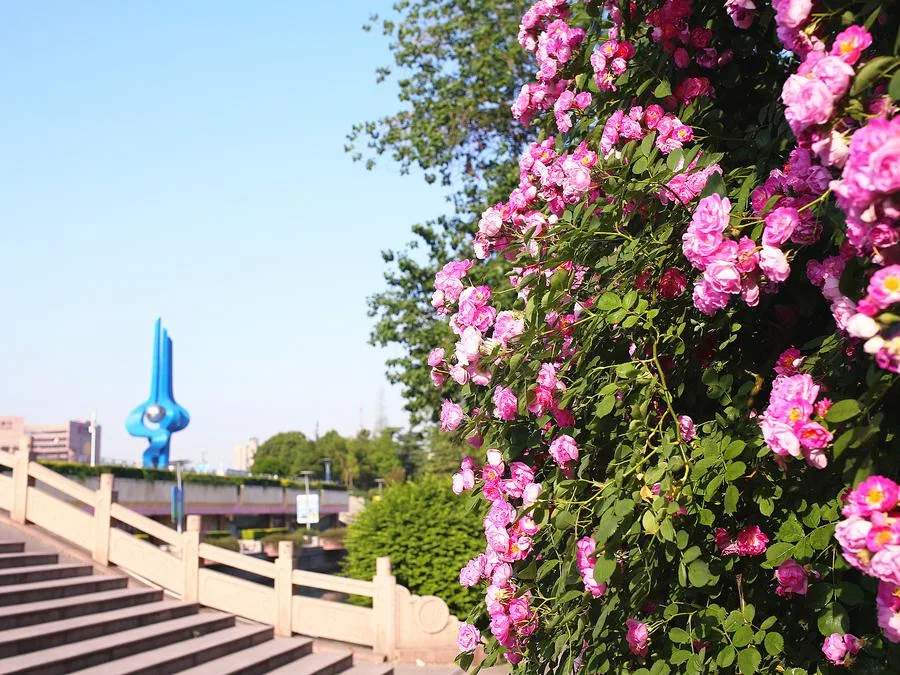 four-seasons-garden-in-quancheng-square-jpg four-seasons-garden-in-quancheng-square-jpg