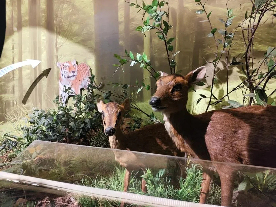 fujian-forest-museum-in-fuzhou-national-forest-park-jpg fujian-forest-museum-in-fuzhou-national-forest-park-jpg
