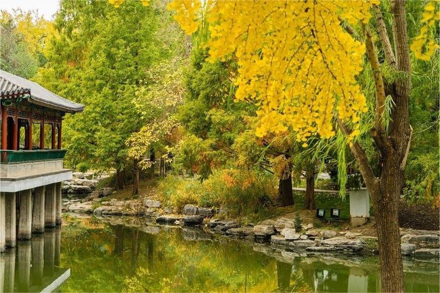 gardens-and-lakes-in-zhongshan-park-beijing gardens-and-lakes-in-zhongshan-park-beijing