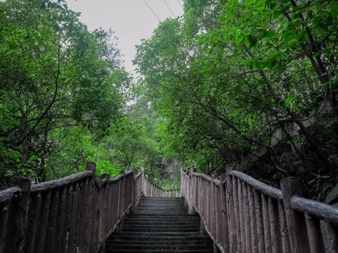 geleshan-national-forest-park-1.avif_ geleshan-national-forest-park-1.avif_