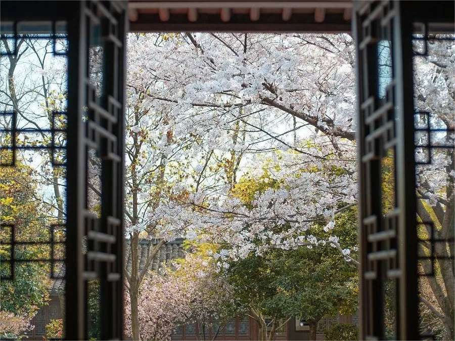 geling-in-baoshi-mountain-jpg geling-in-baoshi-mountain-jpg