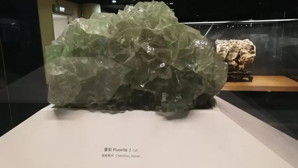 geology-exhibits-in-shanghai-natural-history-museum-1024x578-1 geology-exhibits-in-shanghai-natural-history-museum-1024x578-1