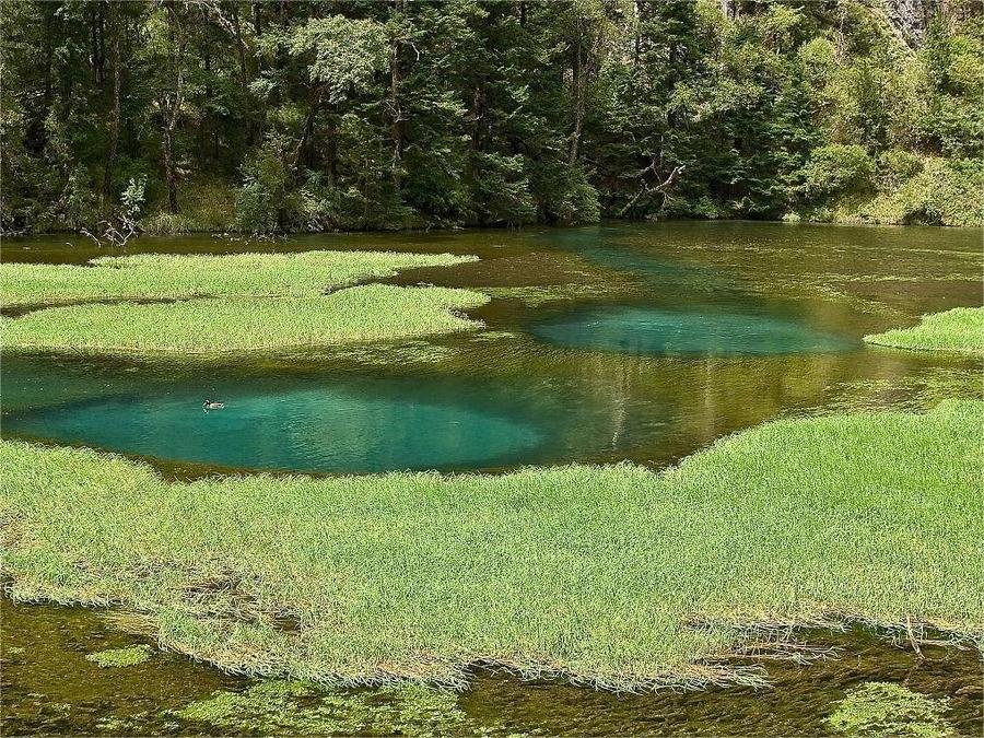 grass-lake-in-jiuzhai-valley grass-lake-in-jiuzhai-valley