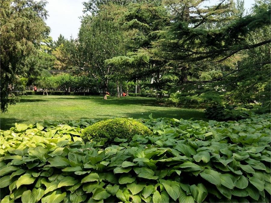 green-spaces-in-tuanjiehu-park green-spaces-in-tuanjiehu-park