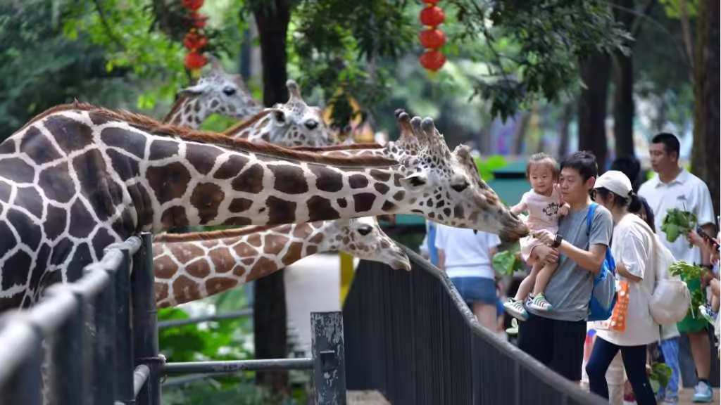 guangzhou-zoo-1024x576.avif_-1