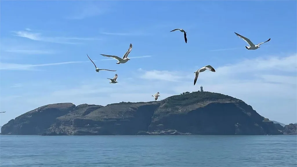 hailv-island-weihai-1024x576-2 hailv-island-weihai-1024x576-2