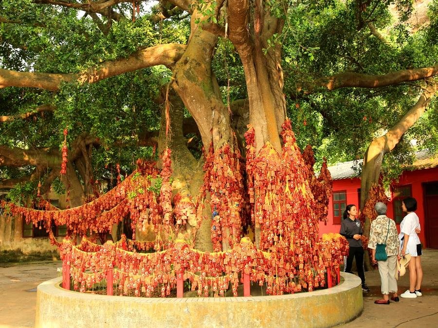 hakka-culture-on-weizhou-island hakka-culture-on-weizhou-island