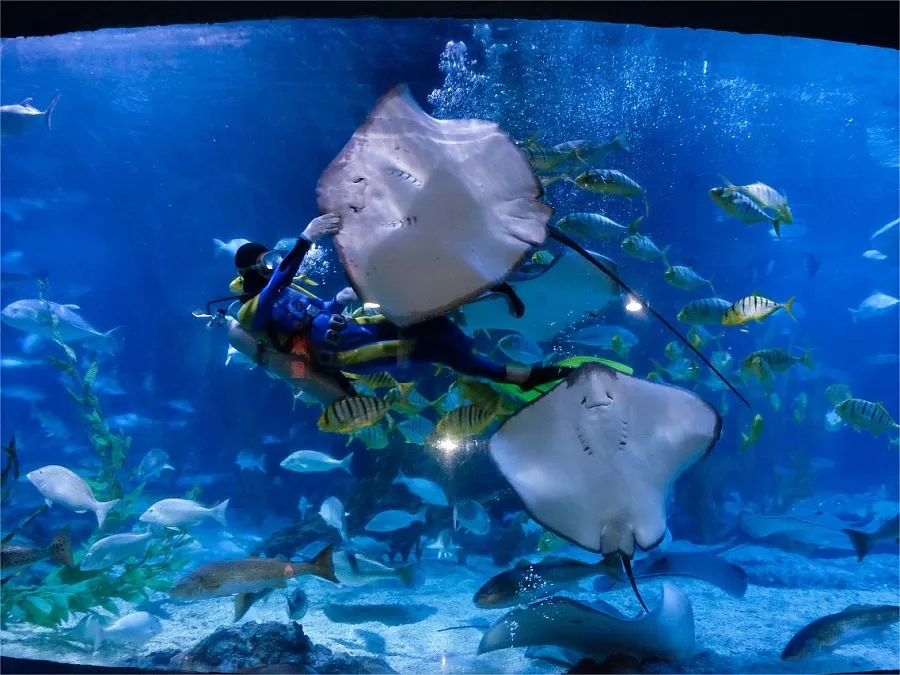 hangzhou-polar-ocean-park-in-xianghu-scenic-area-jpg hangzhou-polar-ocean-park-in-xianghu-scenic-area-jpg