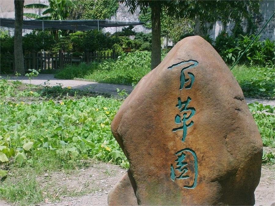 herbal-garden-in-shanghai-museum-of-traditinal-chiense-medicine herbal-garden-in-shanghai-museum-of-traditinal-chiense-medicine