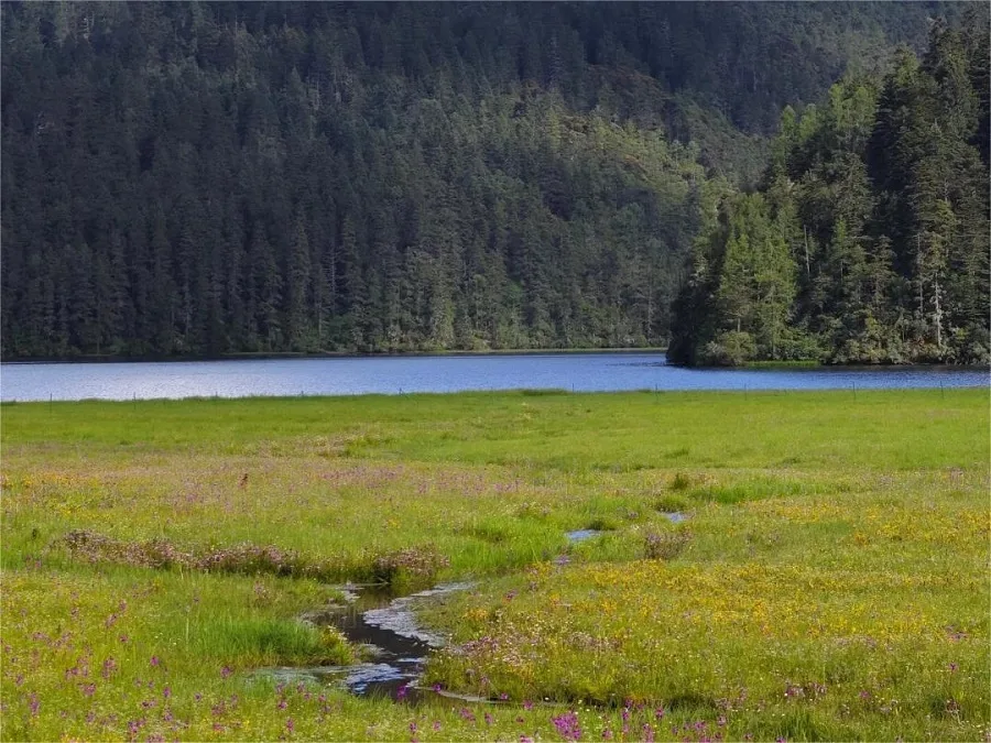 high-plateau-meadow-in-shudu-lake-shangri-la-jpg high-plateau-meadow-in-shudu-lake-shangri-la-jpg
