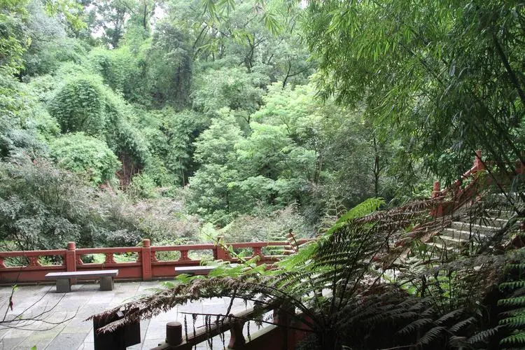 hiking-and-outdoor-activities-in-mount-lingyun hiking-and-outdoor-activities-in-mount-lingyun